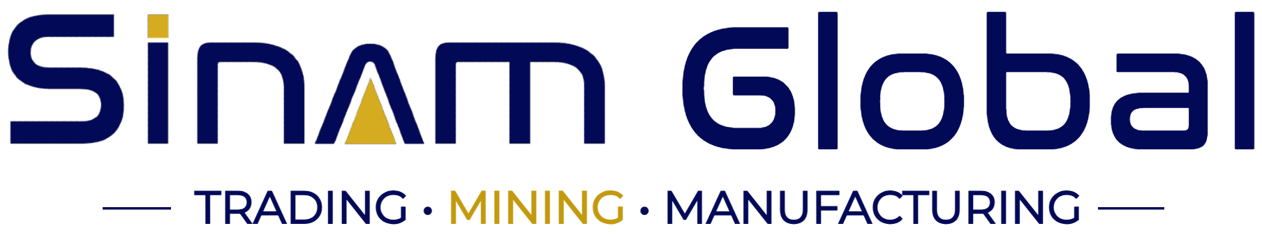 Sinam Global Logo